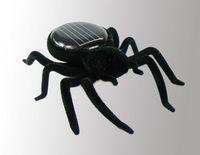 Павук на сонячній батареї